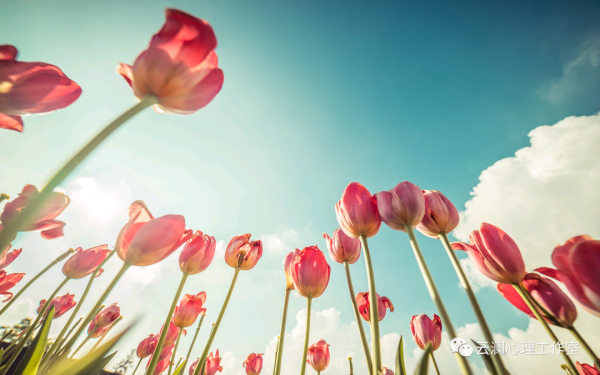 孤独感测量量表UCLA（国际标准版）