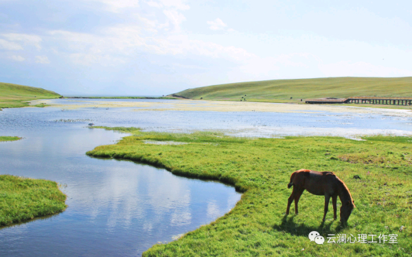 焦虑症测试量表（SAS）